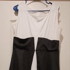 Rockabilly style fit and flare dress